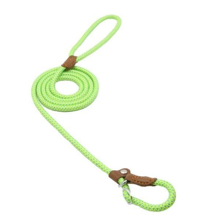 Ensemble pour chiot en nylon