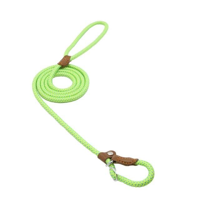 Ensemble pour chiot en nylon
