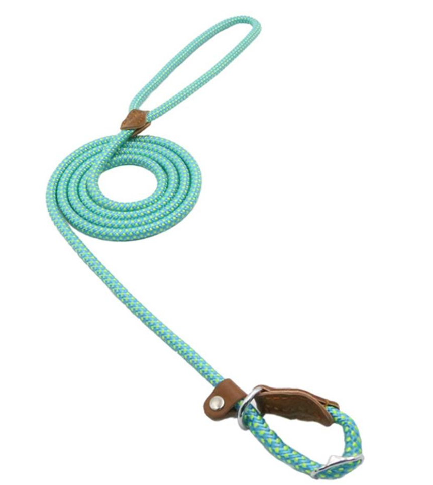 Ensemble pour chiot en nylon
