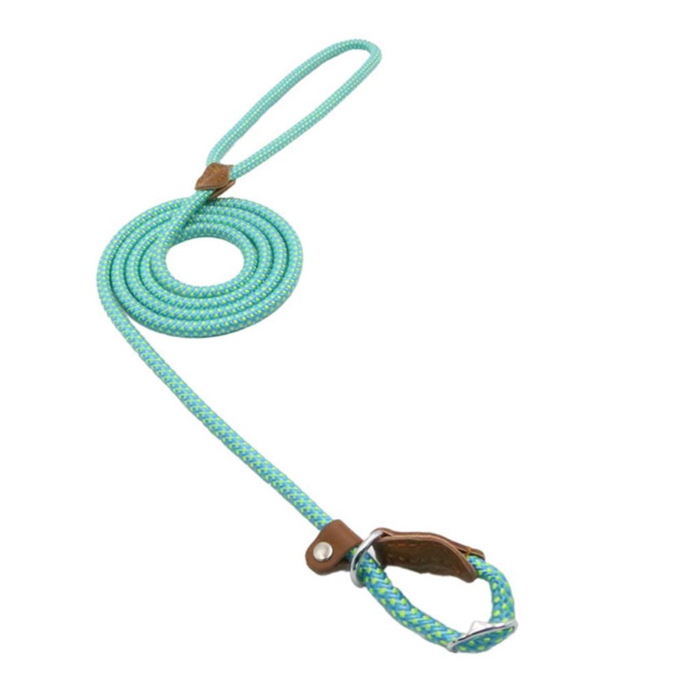 Ensemble pour chiot en nylon