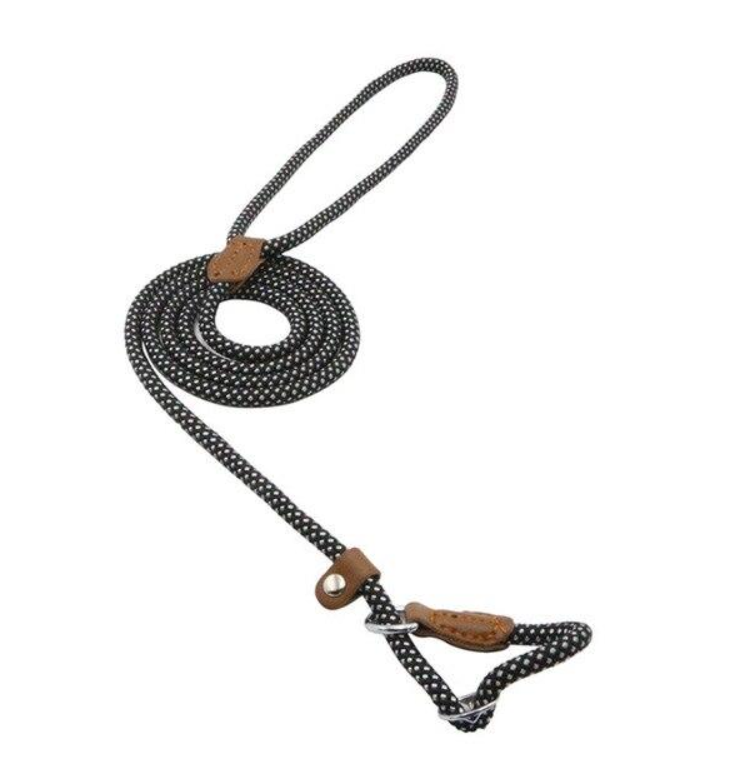 Ensemble pour chiot en nylon