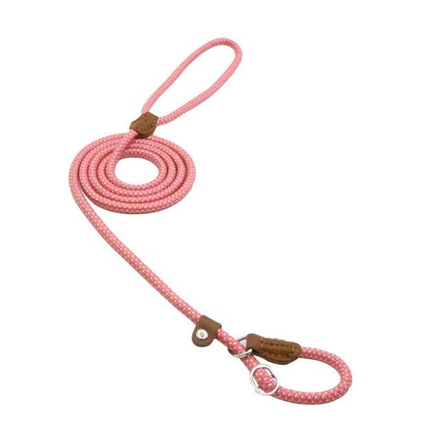 Ensemble pour chiot en nylon