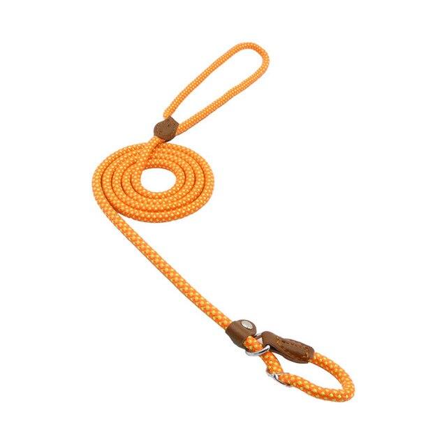Ensemble pour chiot en nylon