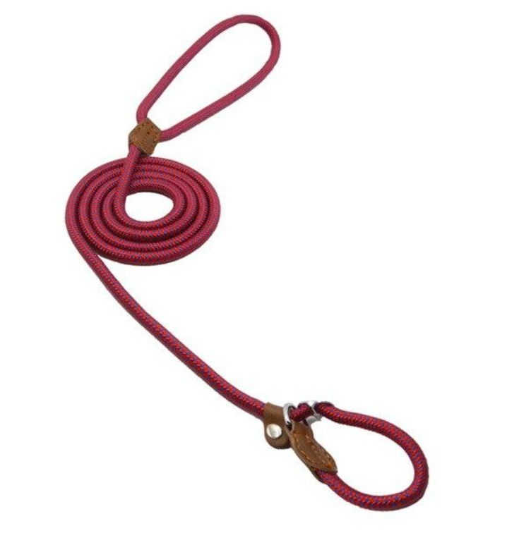 Ensemble pour chiot en nylon