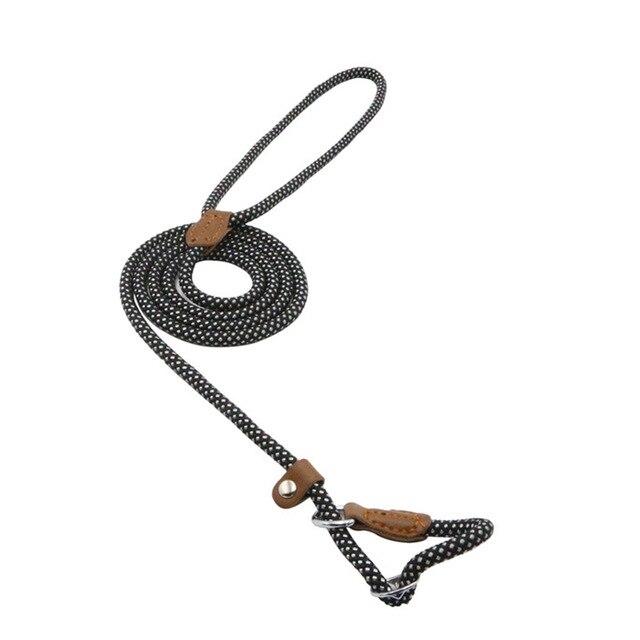 Ensemble pour chiot en nylon