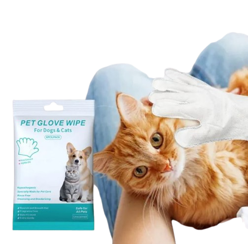 Gants et lingettes de nettoyage pour animaux de compagnie