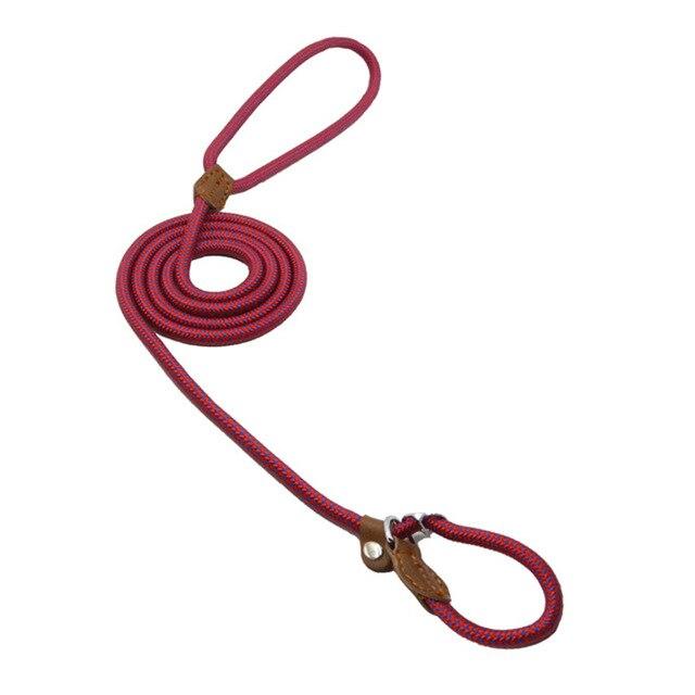 Ensemble pour chiot en nylon