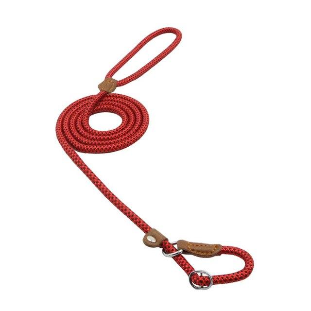 Ensemble pour chiot en nylon