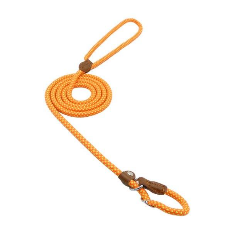 Ensemble pour chiot en nylon