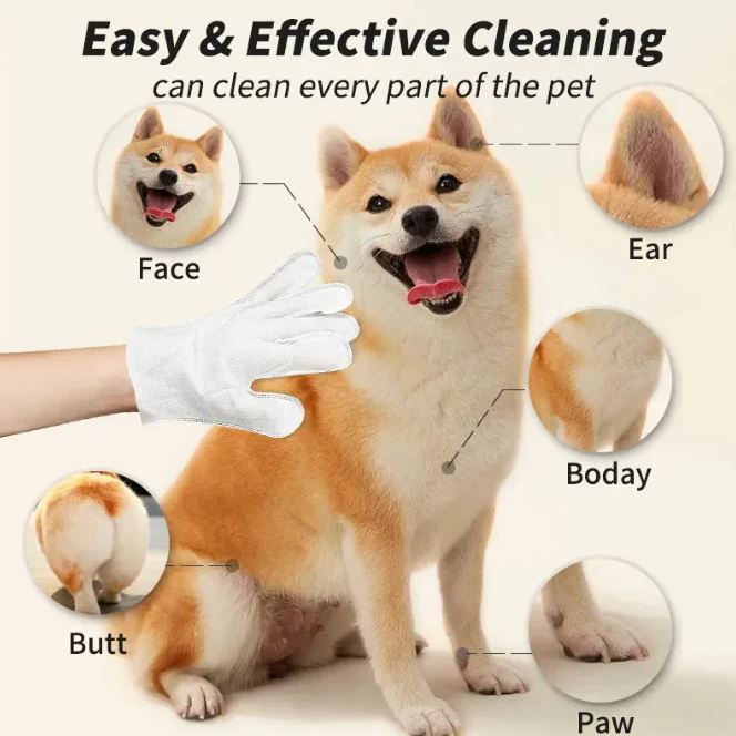 Gants et lingettes de nettoyage pour animaux de compagnie